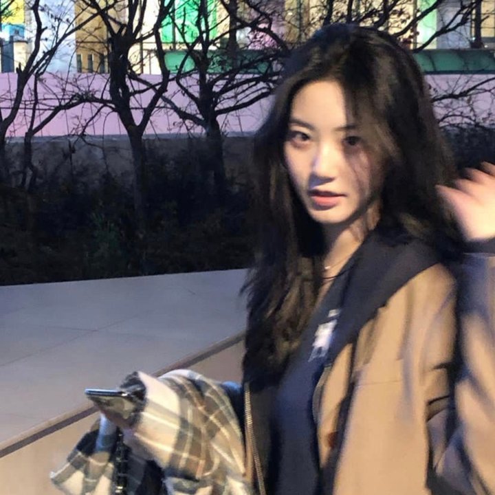 2026热门内容精选第013期